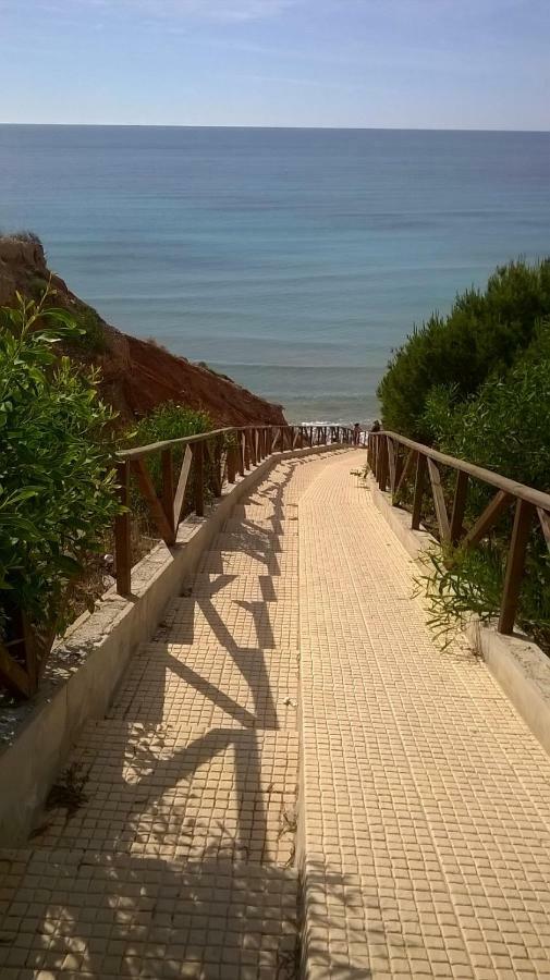 Apartamento Mandarin Playamarina II Оріуела Екстер'єр фото